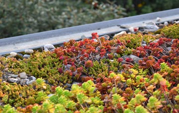 the cost of Alresford green roof installation